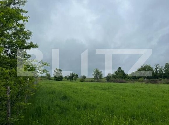 Teren de vânzare Moigrad-Porolissum - 209329TV | BLITZ Zalău | Poza1