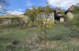 Casa de vanzare Aghires, Zalău