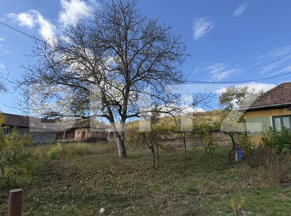 Casa de vânzare 4 camere Aghires - 209416CV | BLITZ Zalău | Poza3