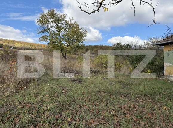Casa de vânzare 4 camere Aghires - 209416CV | BLITZ Zalău | Poza5