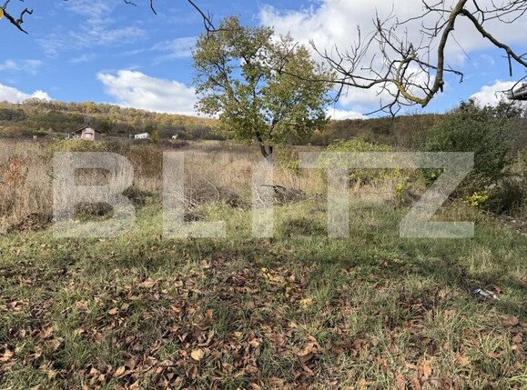 Casa de vânzare 4 camere Aghires - 209416CV | BLITZ Zalău | Poza7