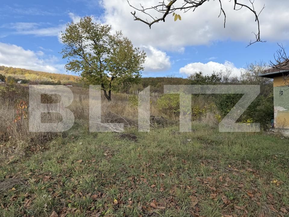 Casa de vânzare 4 camere Aghires - 209416CV | BLITZ Zalău | Poza5