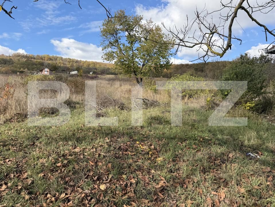 Casa de vânzare 4 camere Aghires - 209416CV | BLITZ Zalău | Poza7